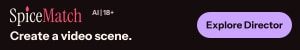 Director Mode 300x50 affiliate banner